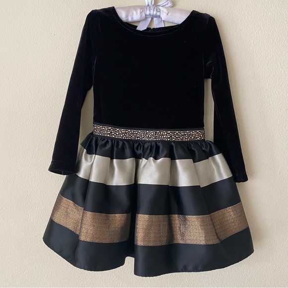 Sweet Heart Rose Toddler Long Sleeve Dress - Picture 1 of 7